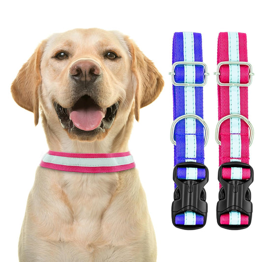 Reflective Nylon Dog Collar with Metal D-Ring