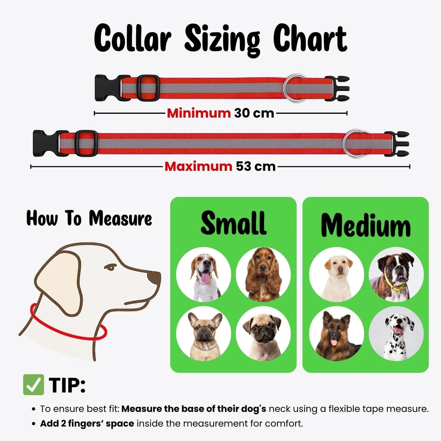 Reflective Nylon Dog Collar with Metal D-Ring
