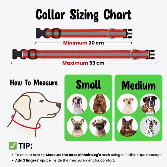 Reflective Nylon Dog Collar with Metal D-Ring